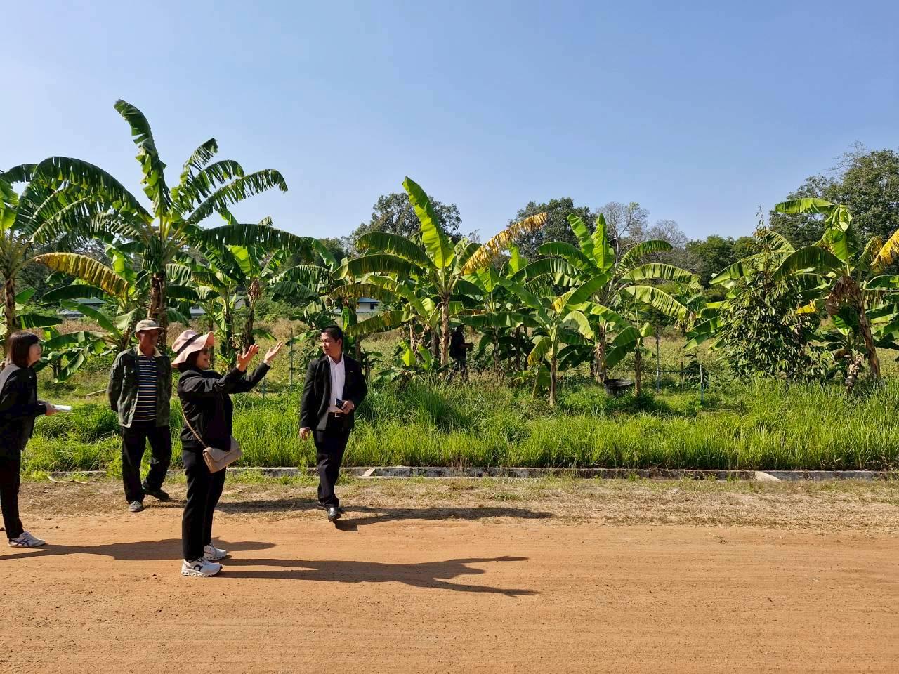 ภาพประกอบที่ 5