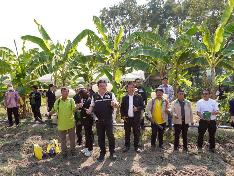 ภาพประกอบที่ 7