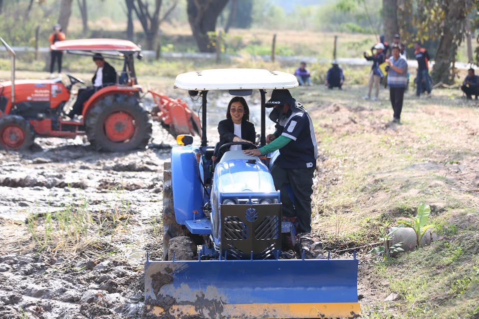 ภาพประกอบที่ 8