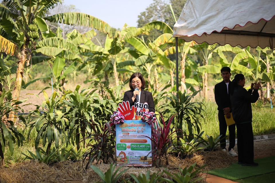 ภาพประกอบที่ 50