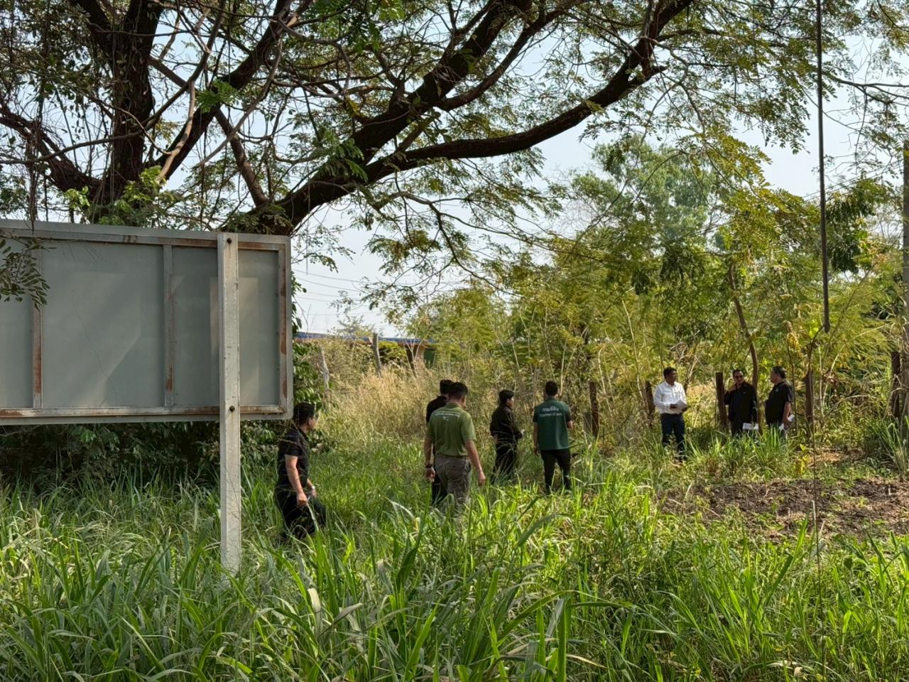 ภาพประกอบที่ 4