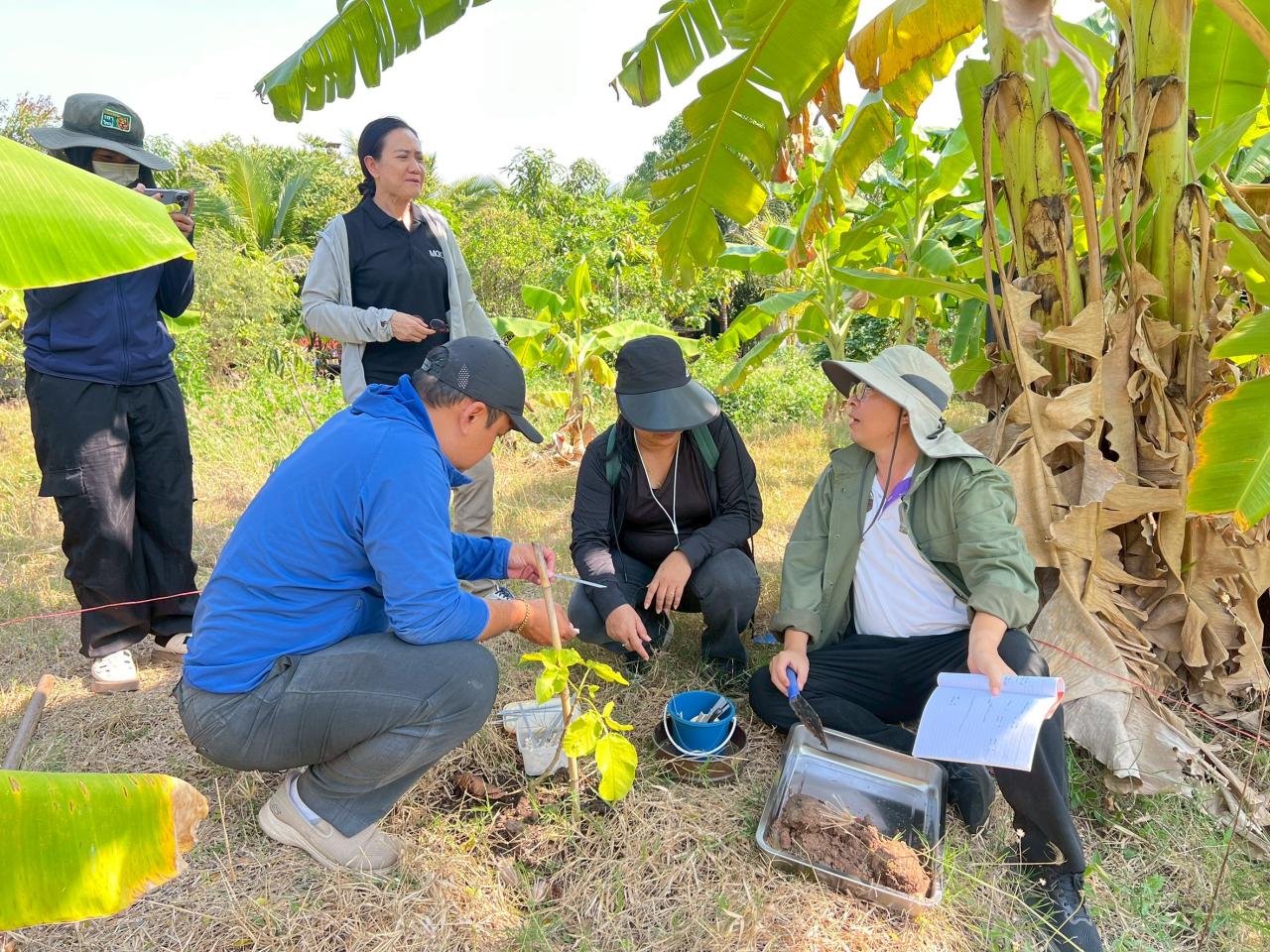 ภาพประกอบที่ 0
