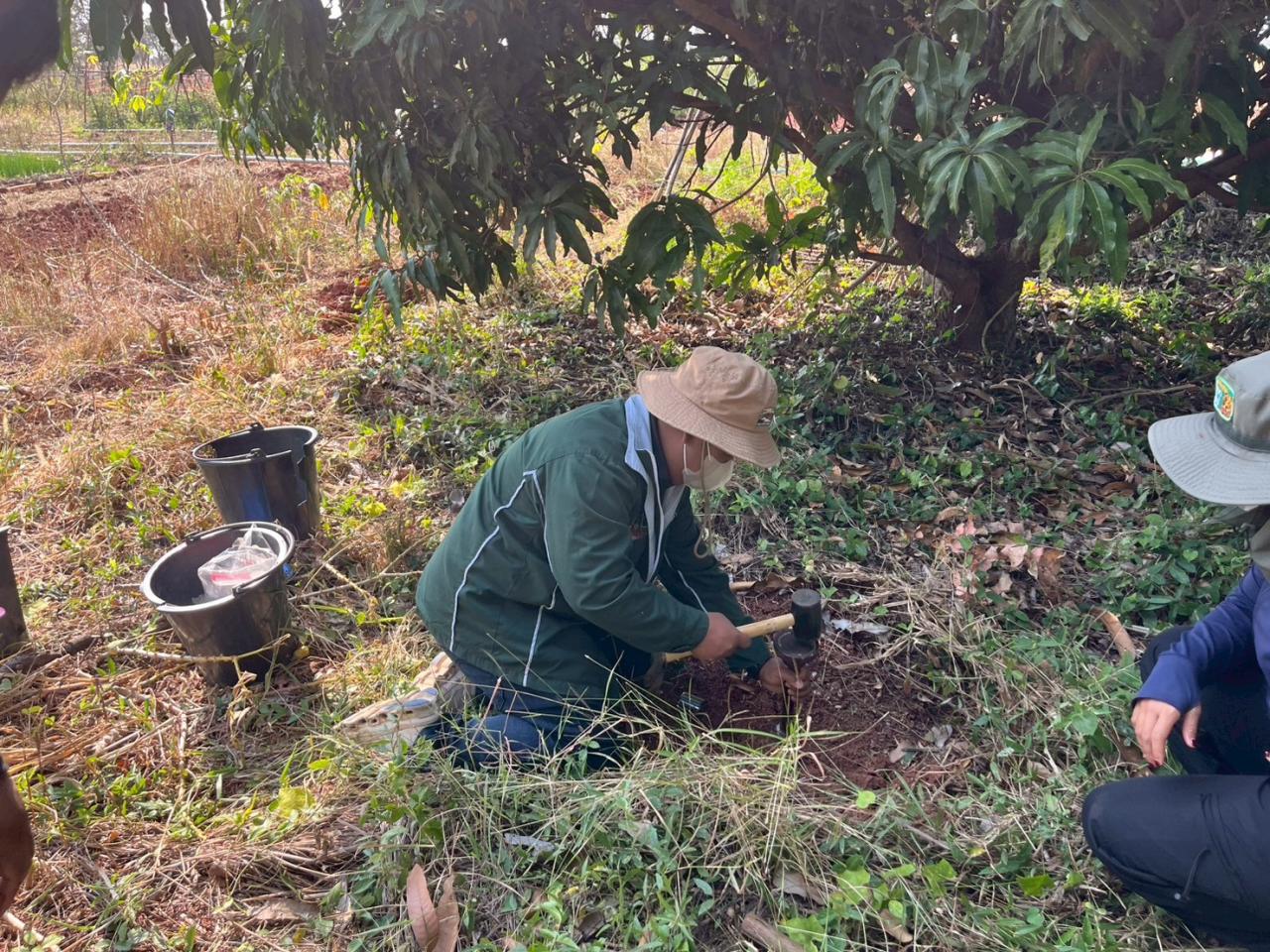 ภาพประกอบที่ 3
