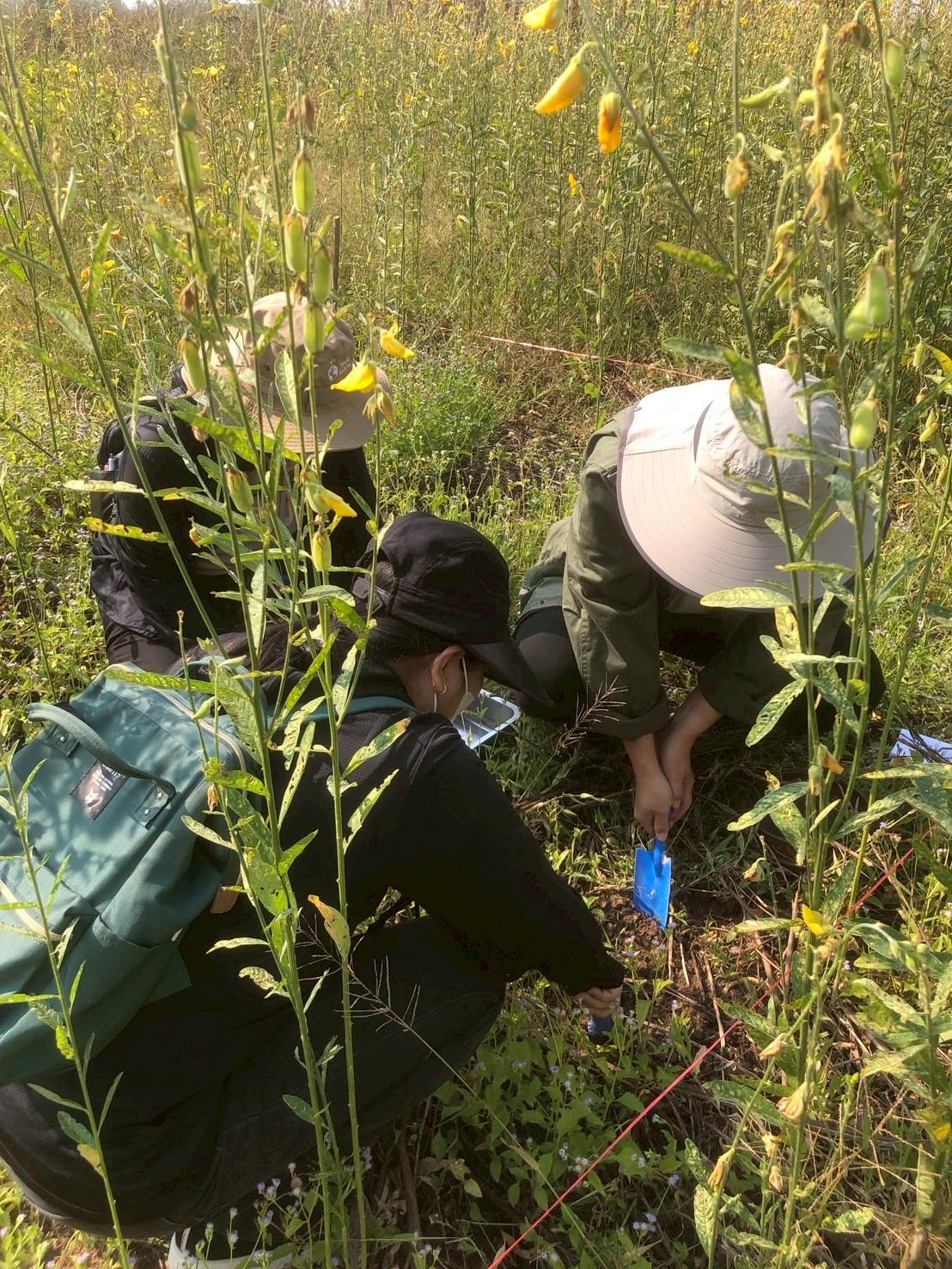 ภาพประกอบที่ 7