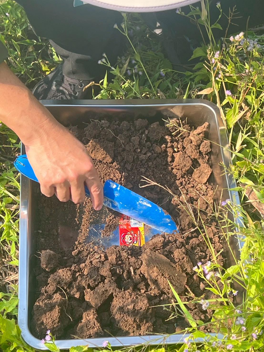 ภาพประกอบที่ 10