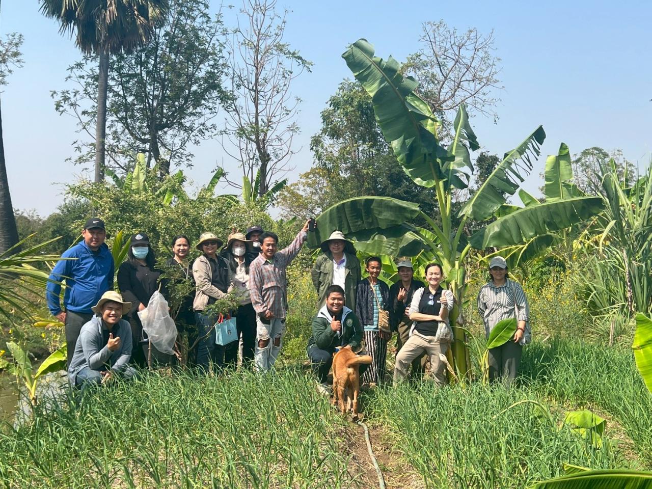 ภาพประกอบที่ 12