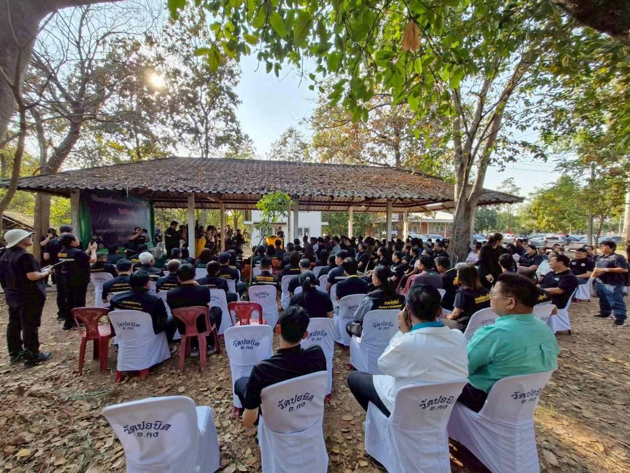 ภาพประกอบที่ 11