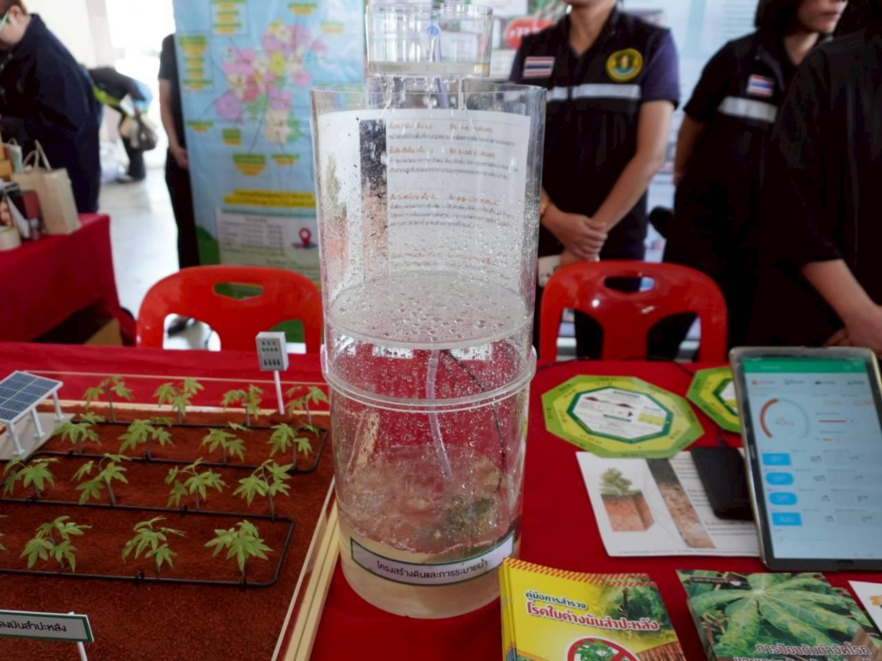 ภาพประกอบที่ 13