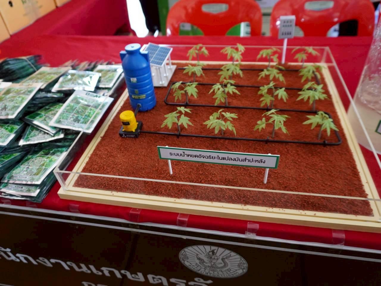 ภาพประกอบที่ 14