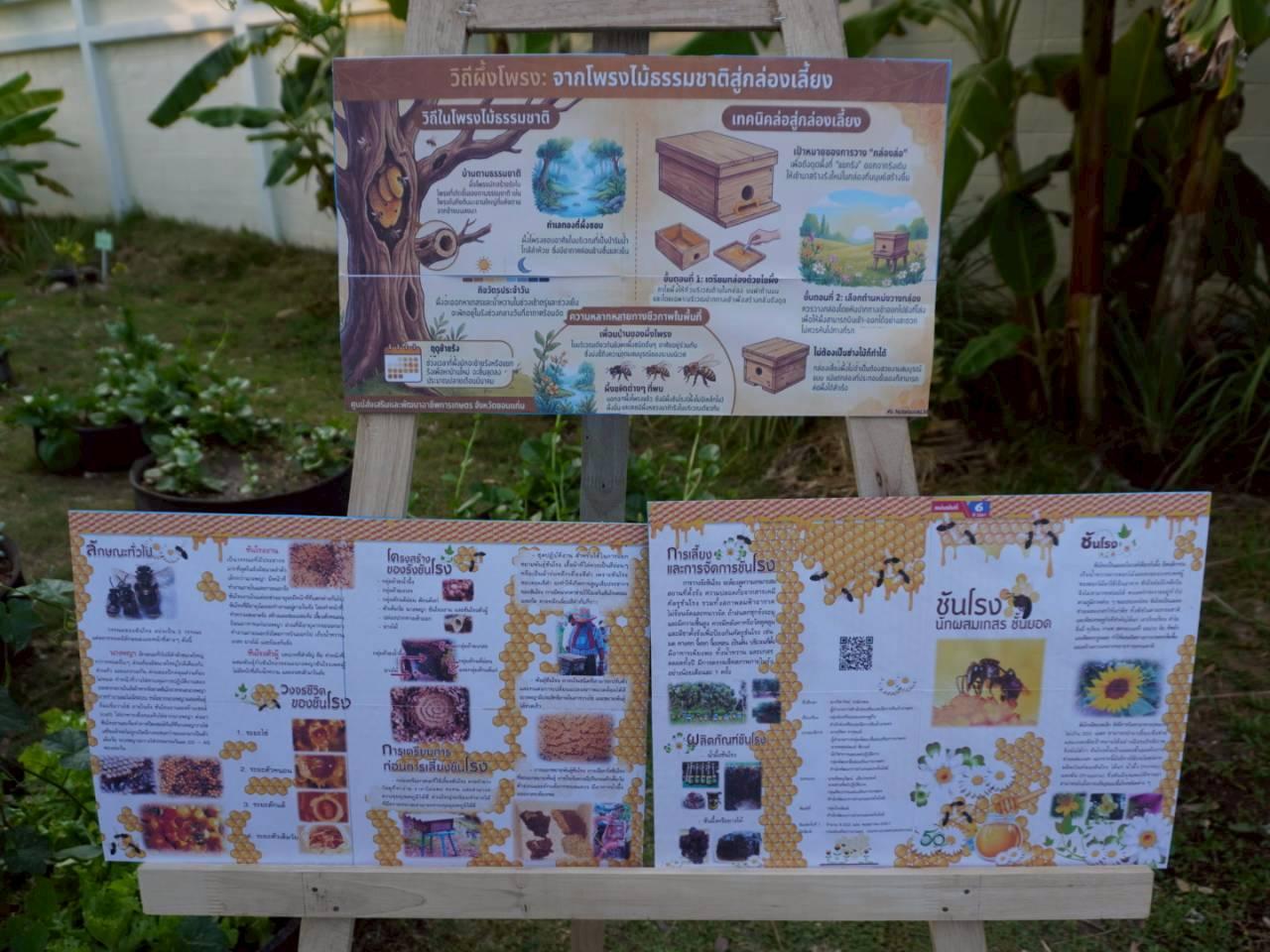 ภาพประกอบที่ 5