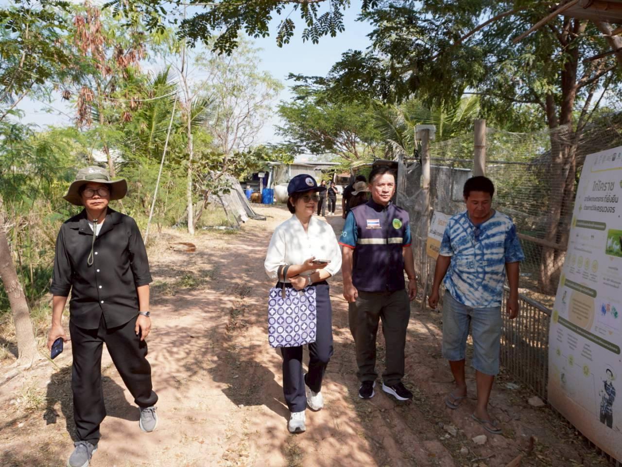 ภาพประกอบที่ 8