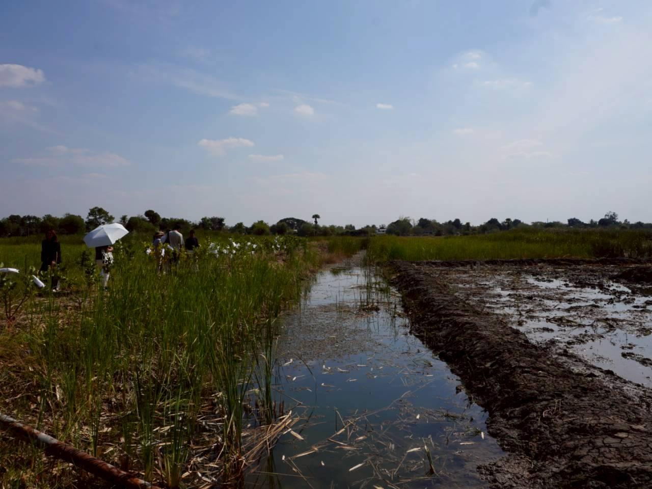 ภาพประกอบที่ 13