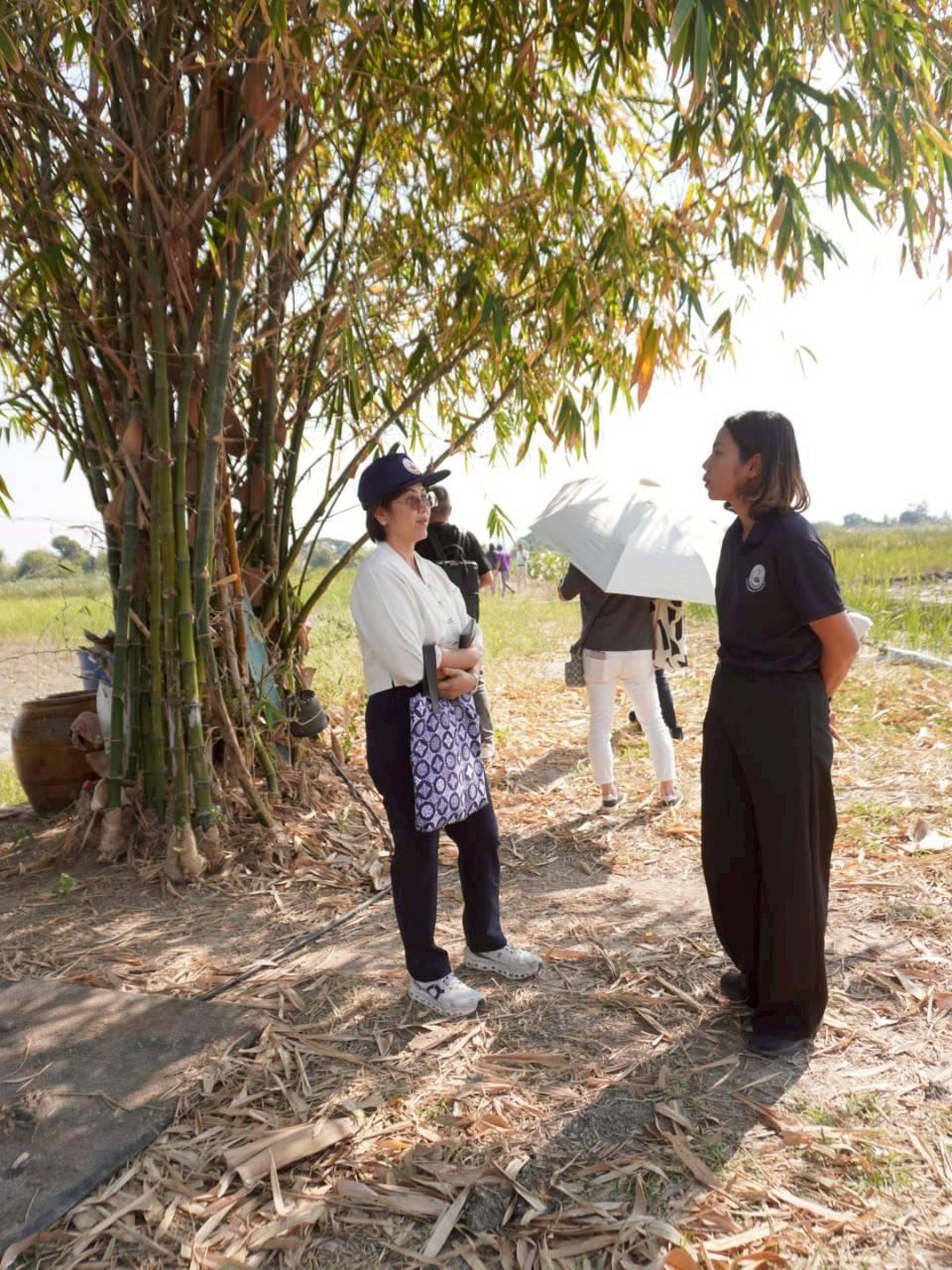 ภาพประกอบที่ 14