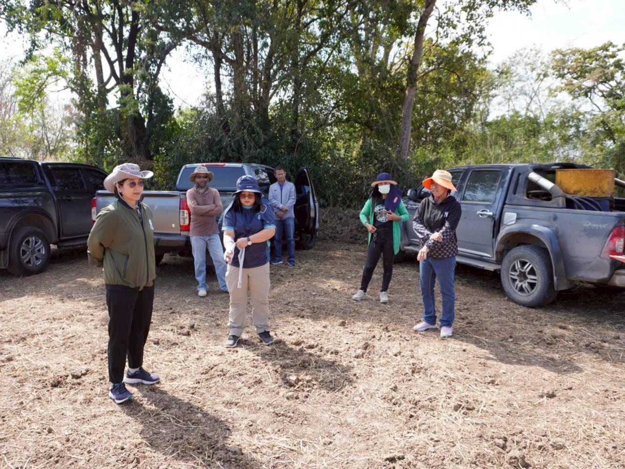 ภาพประกอบที่ 8