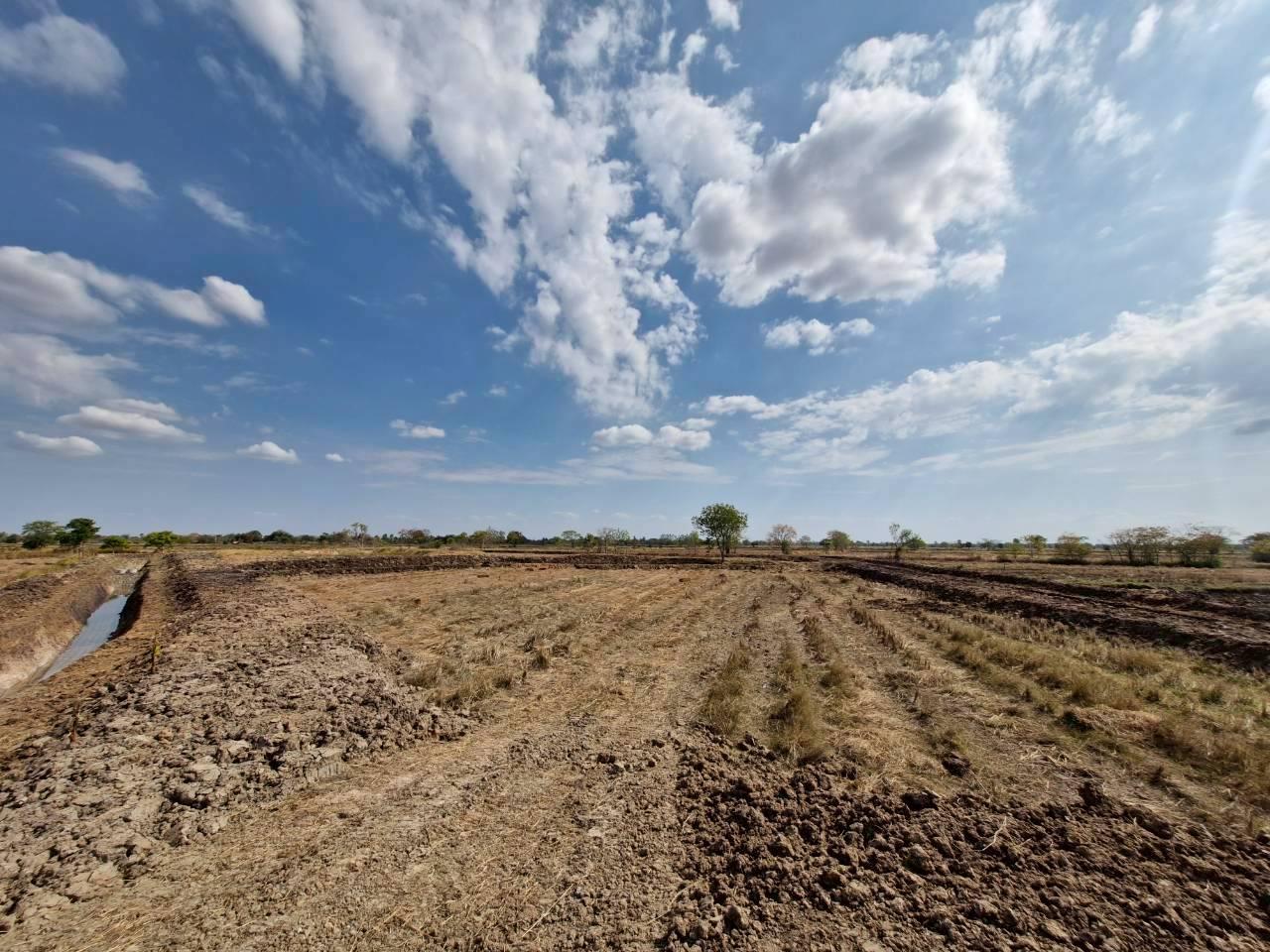 ภาพประกอบที่ 7