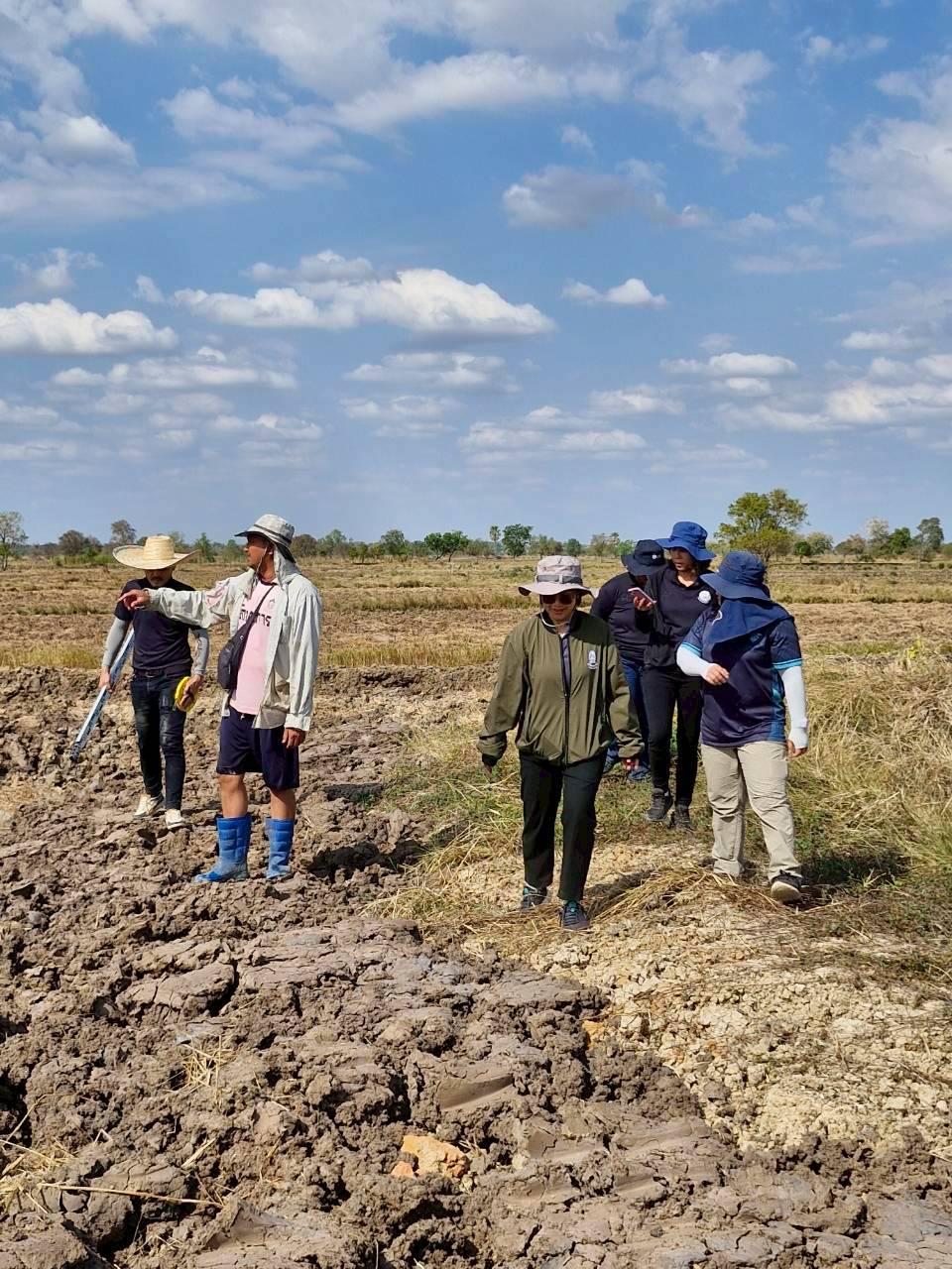ภาพประกอบที่ 10