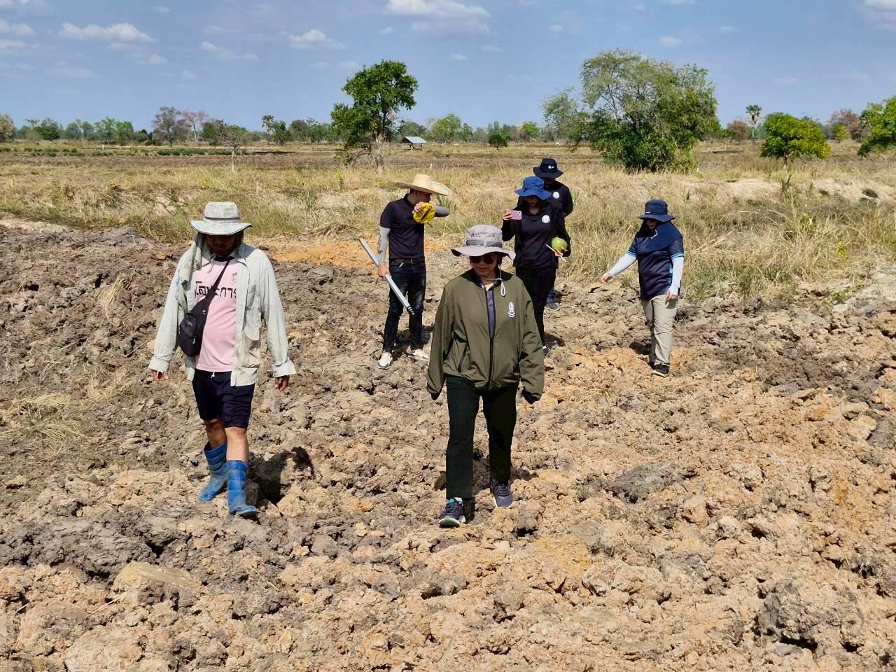 ภาพประกอบที่ 11