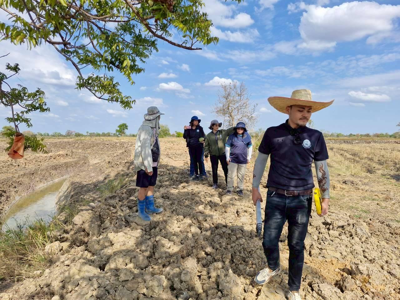 ภาพประกอบที่ 12