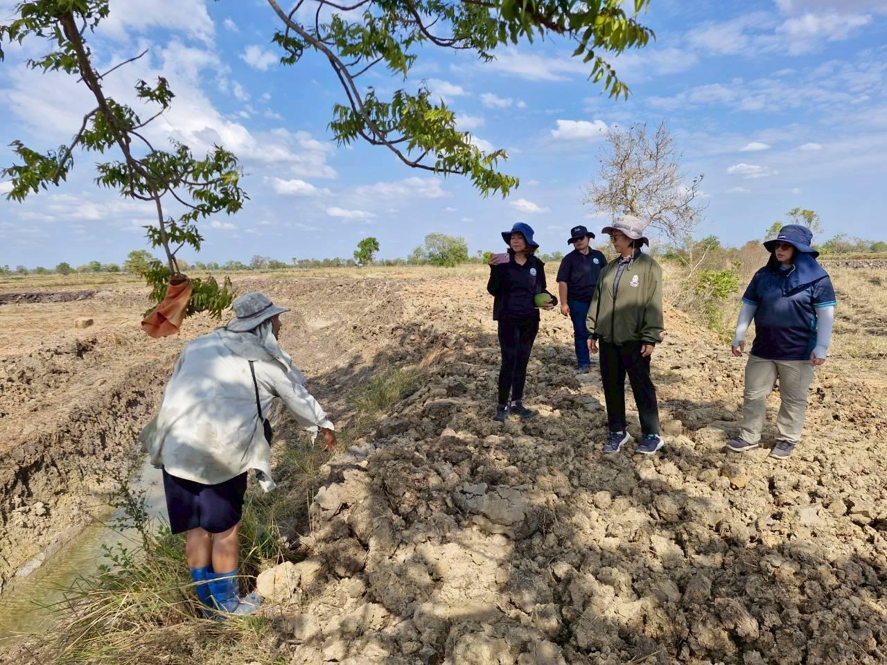 ภาพประกอบที่ 13