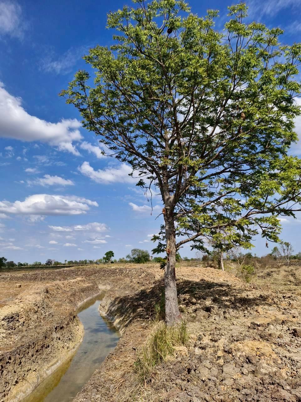 ภาพประกอบที่ 16