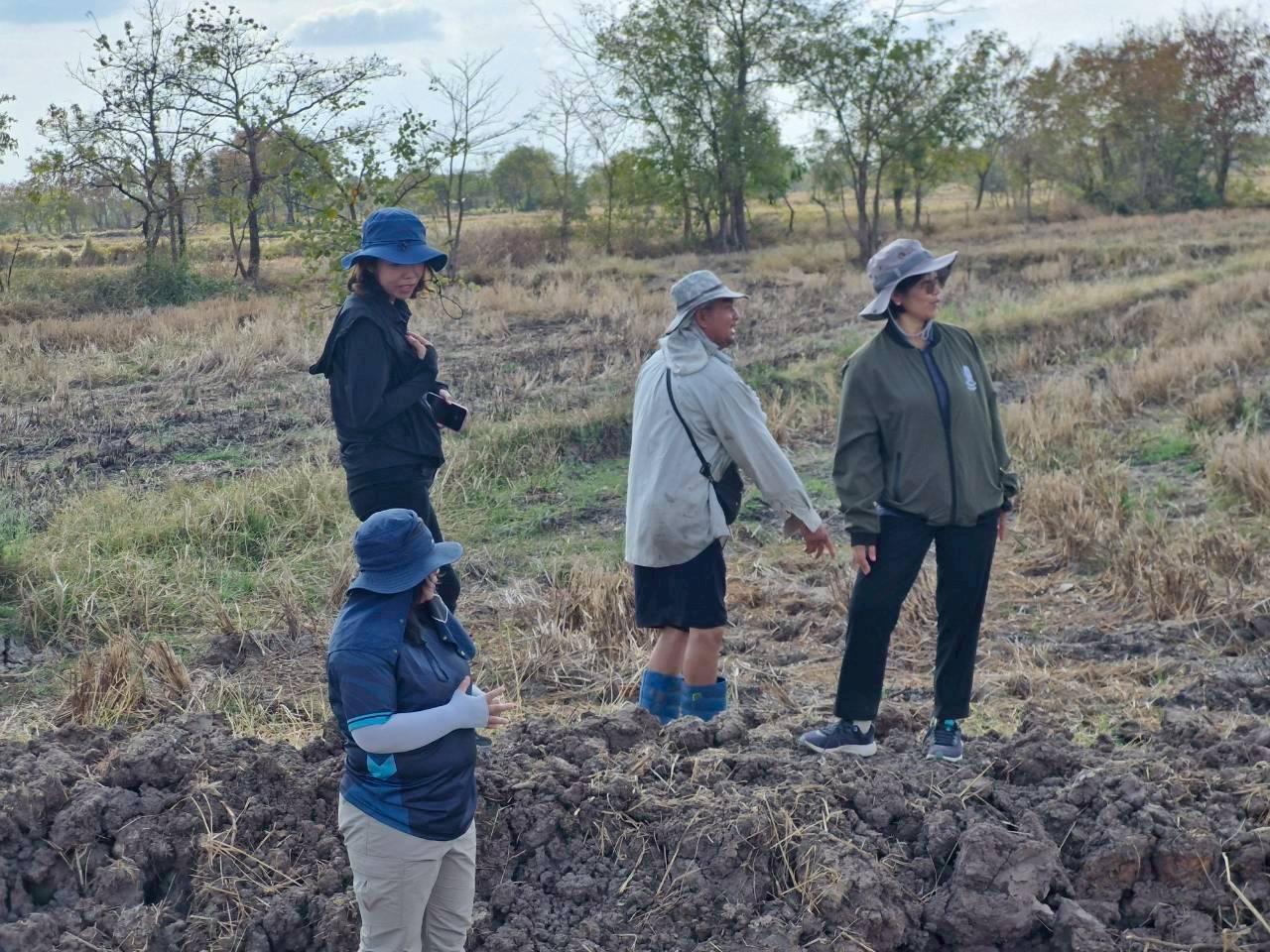 ภาพประกอบที่ 18