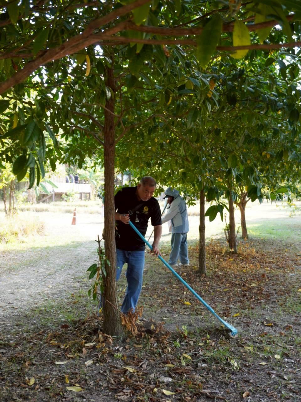 ภาพประกอบที่ 5