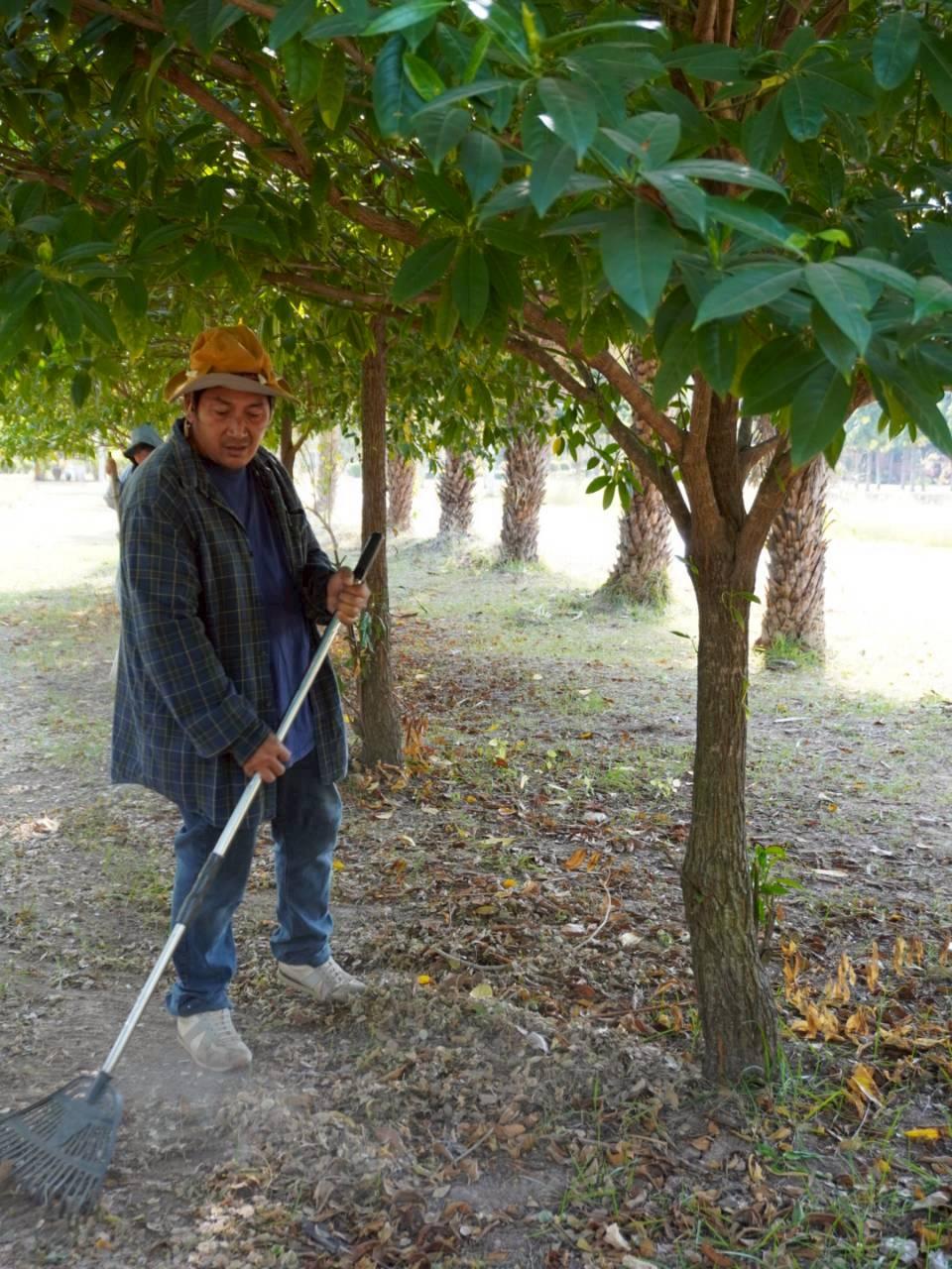 ภาพประกอบที่ 6