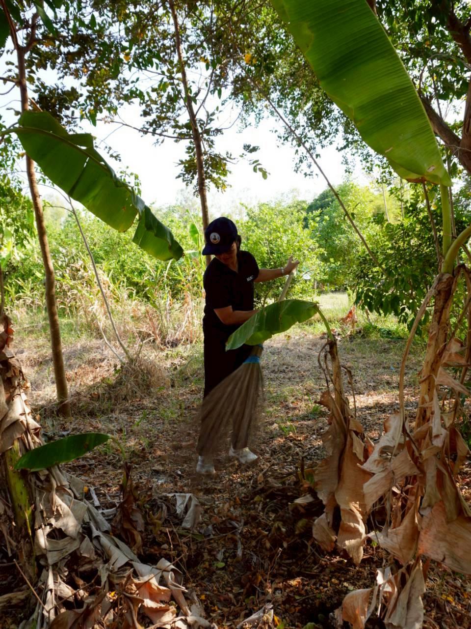 ภาพประกอบที่ 7