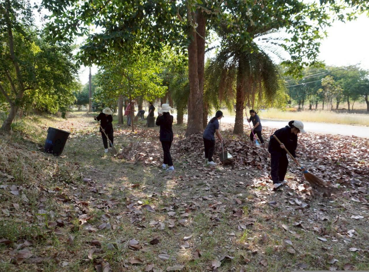 ภาพประกอบที่ 8