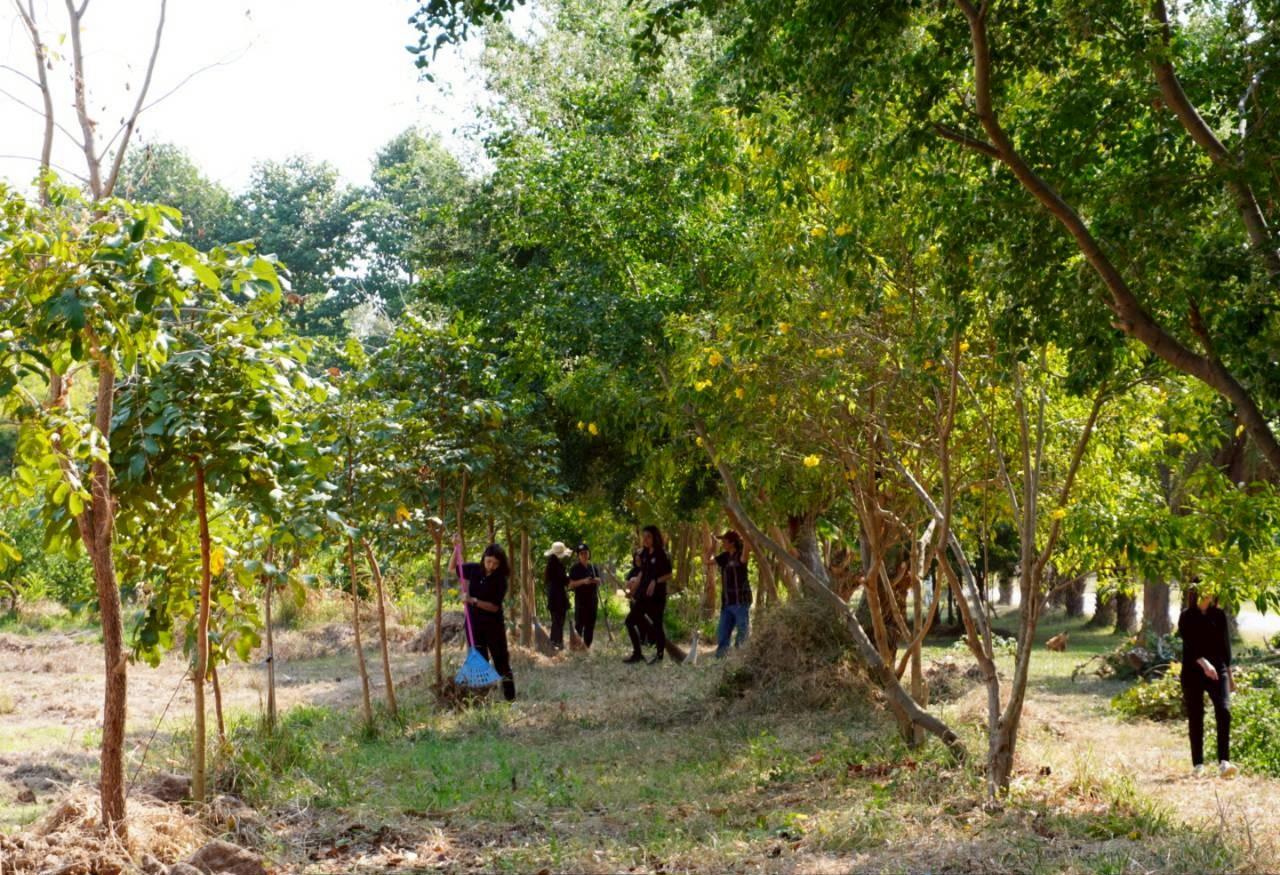 ภาพประกอบที่ 10