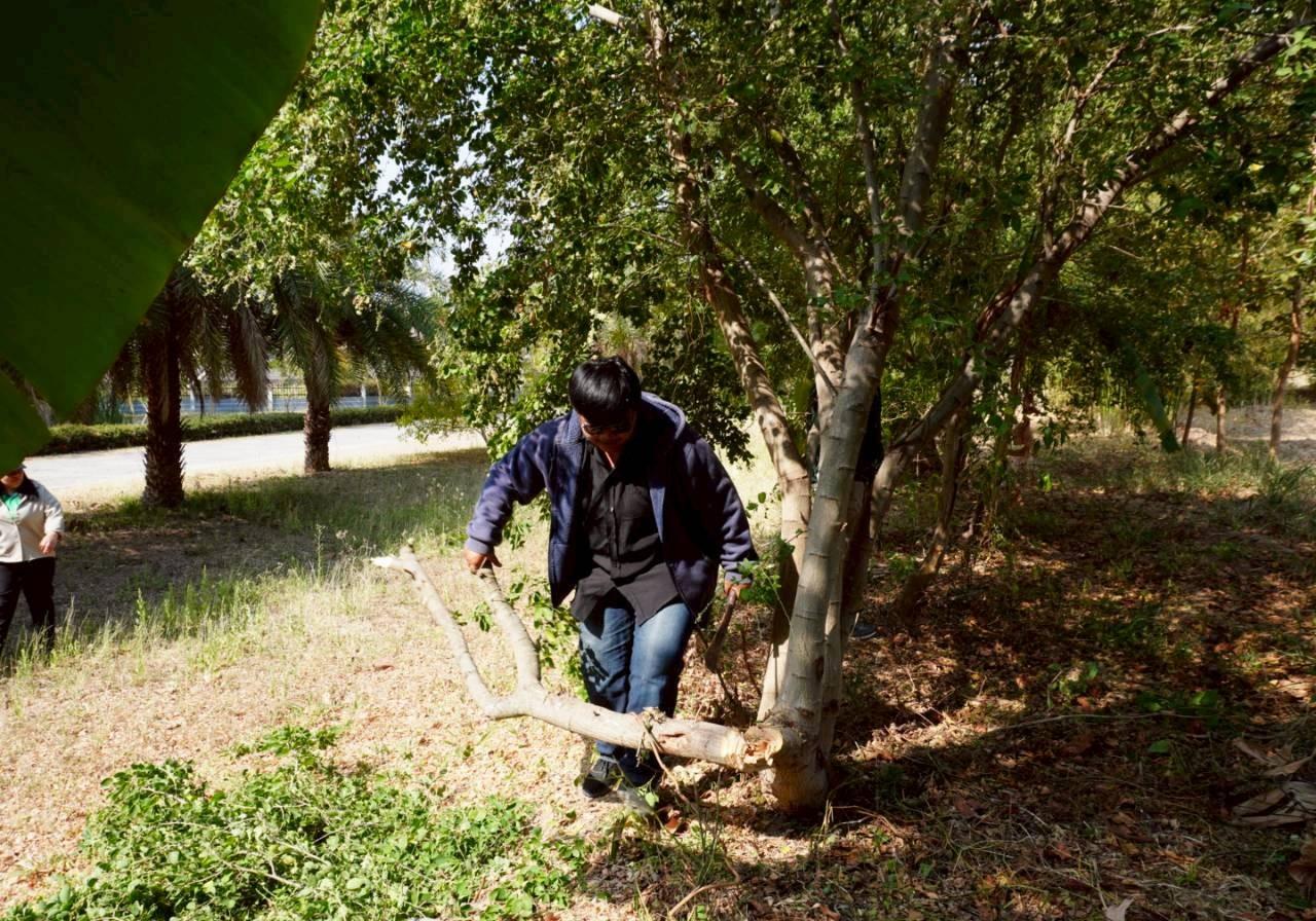ภาพประกอบที่ 11