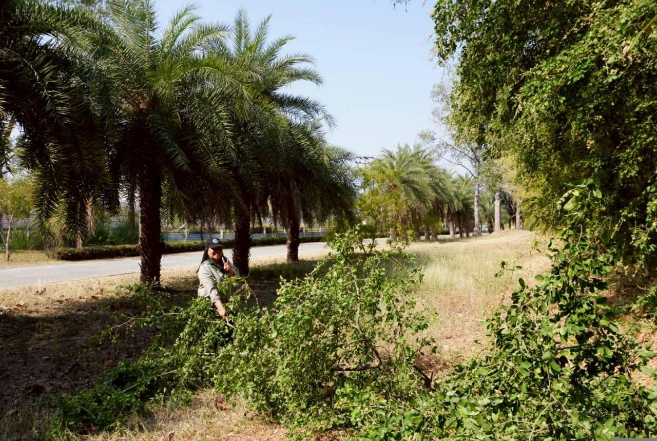 ภาพประกอบที่ 12