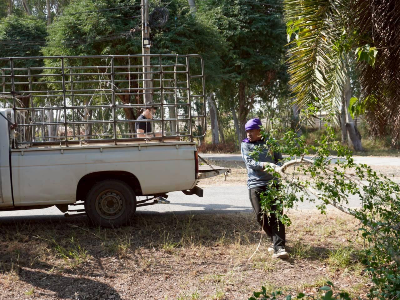 ภาพประกอบที่ 13