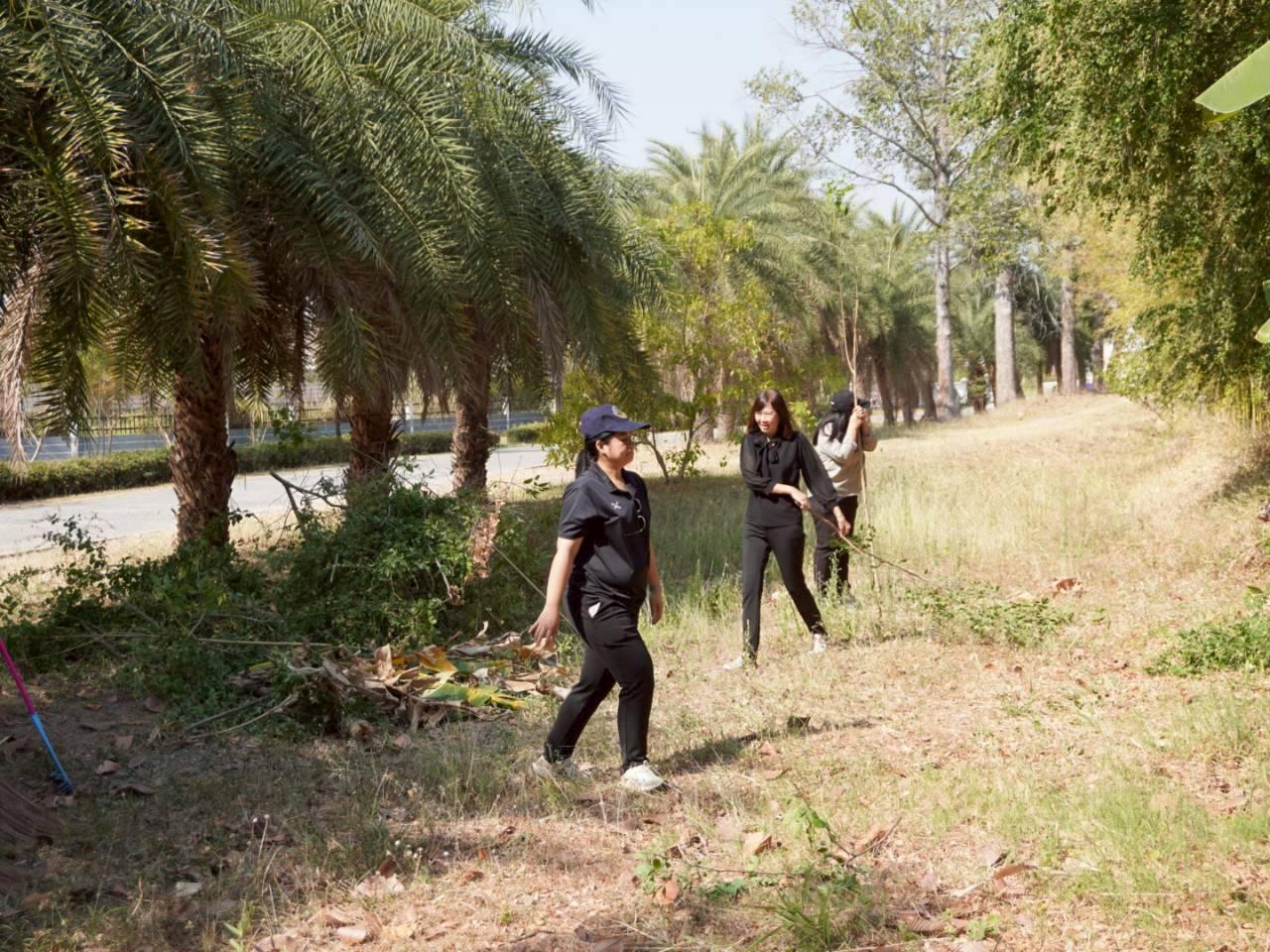 ภาพประกอบที่ 14