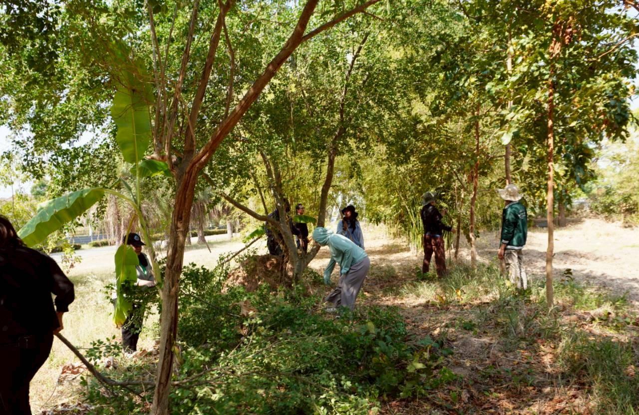 ภาพประกอบที่ 15