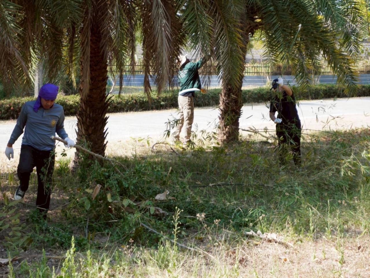 ภาพประกอบที่ 16