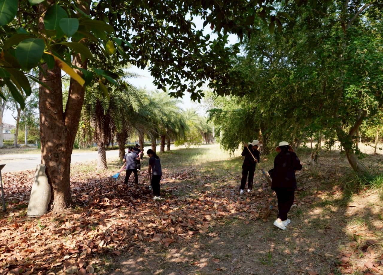 ภาพประกอบที่ 17