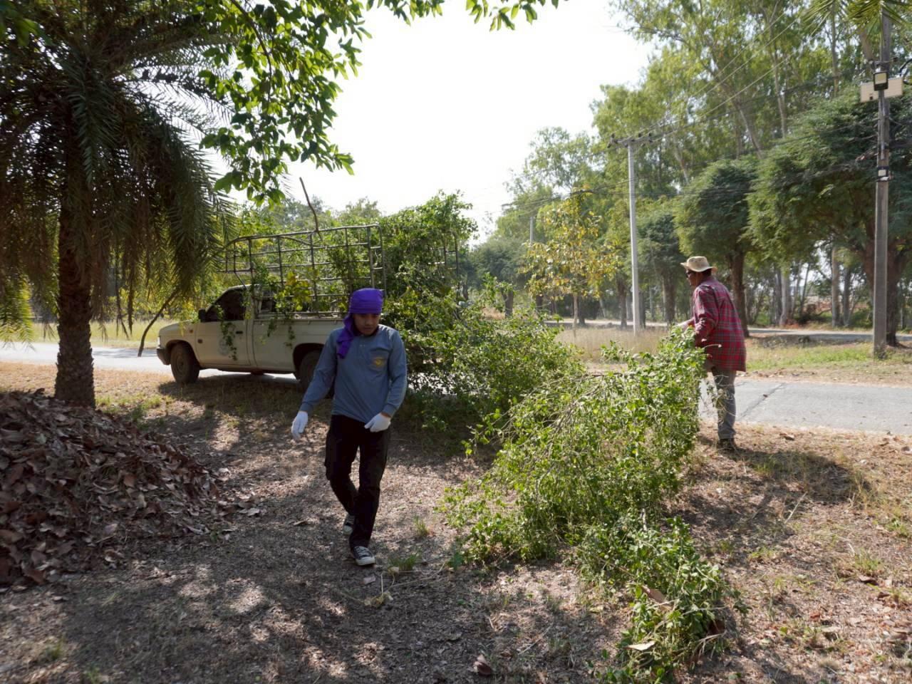 ภาพประกอบที่ 20