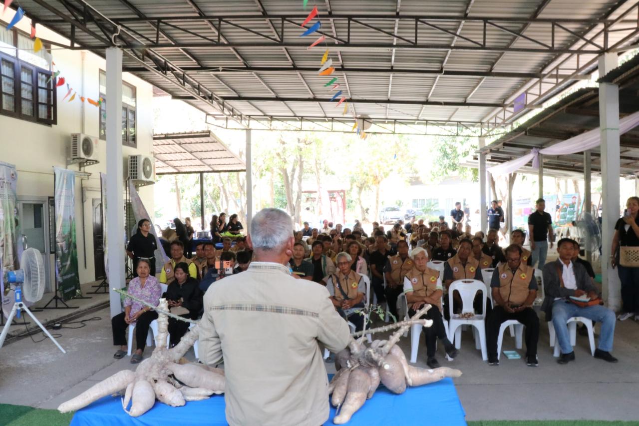 ภาพประกอบที่ 61
