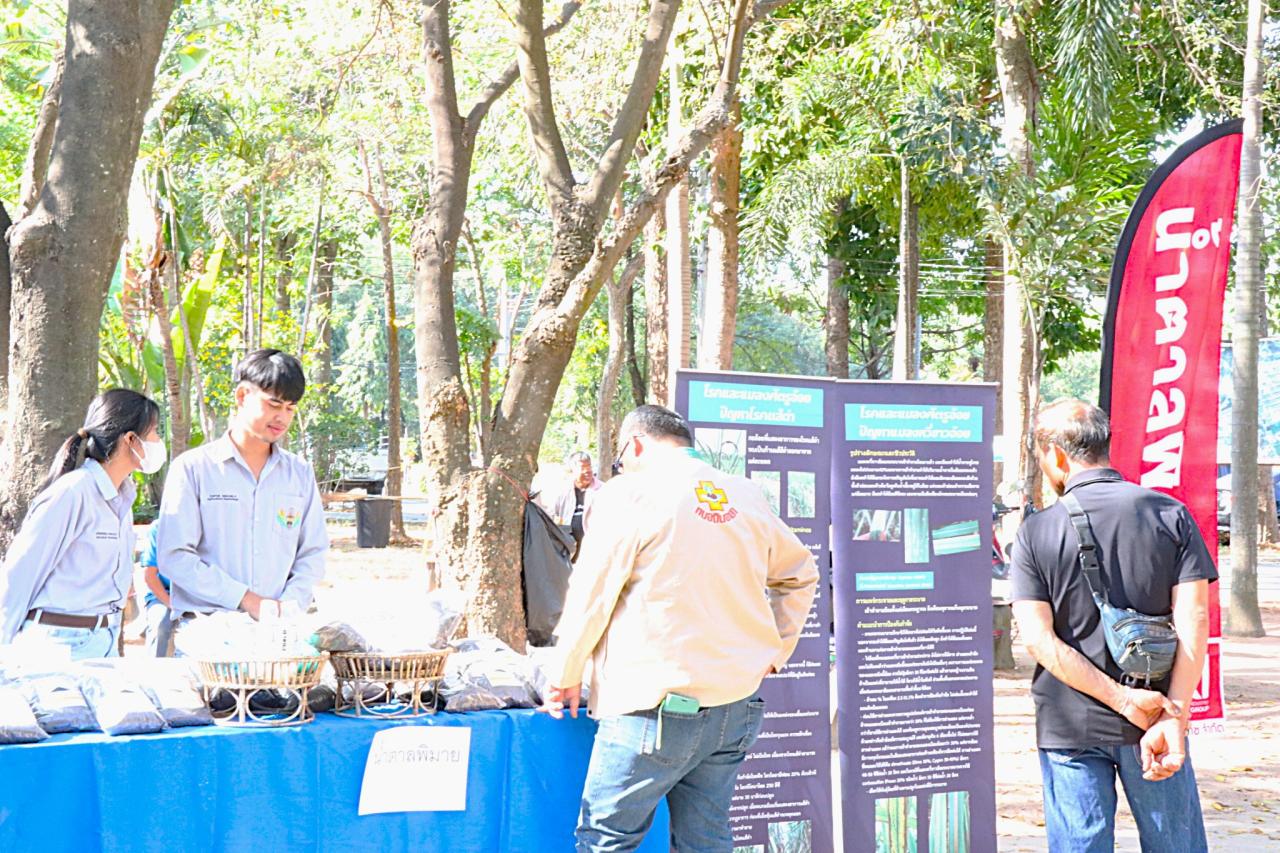 ภาพประกอบที่ 29