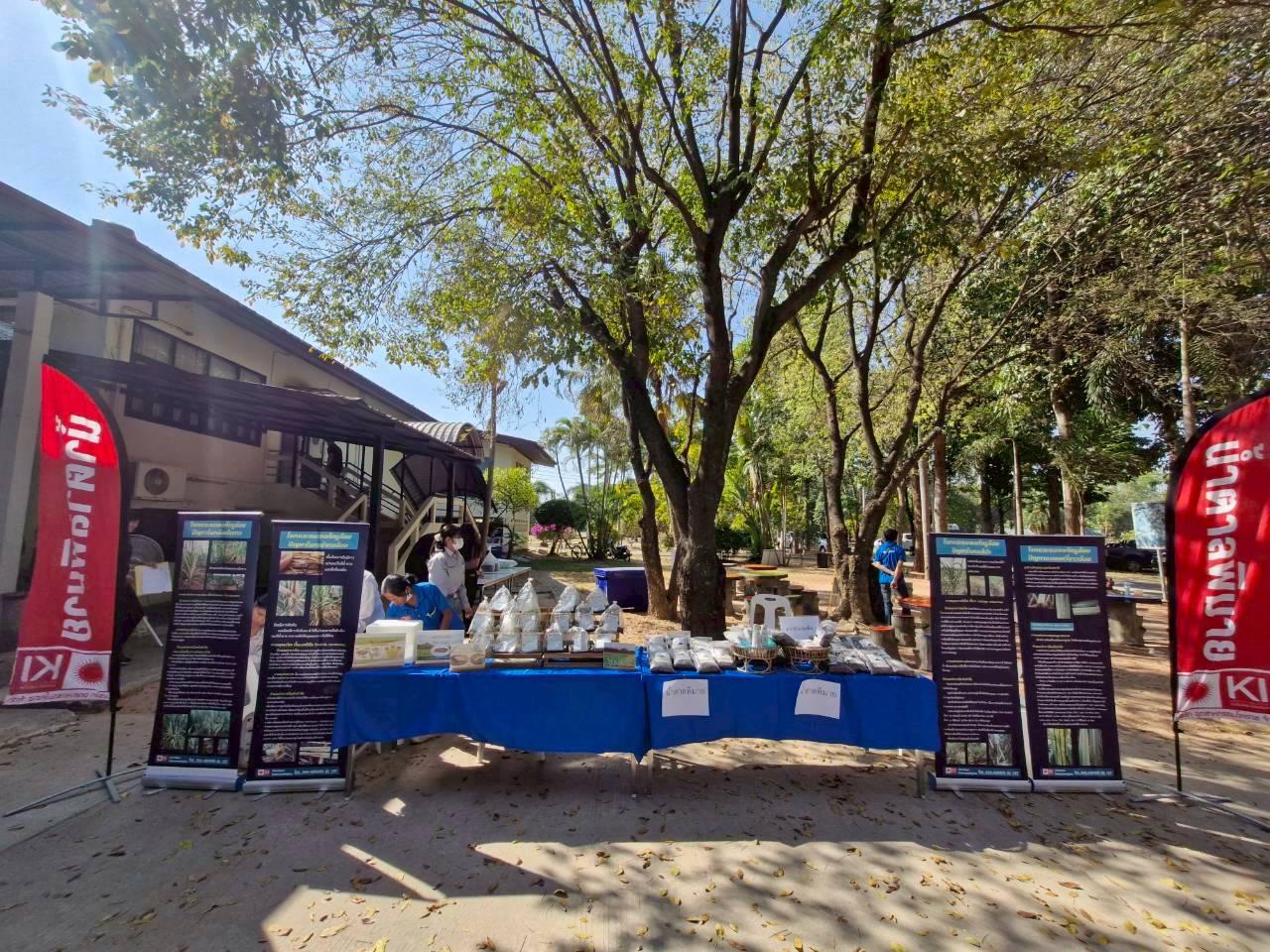 ภาพประกอบที่ 11