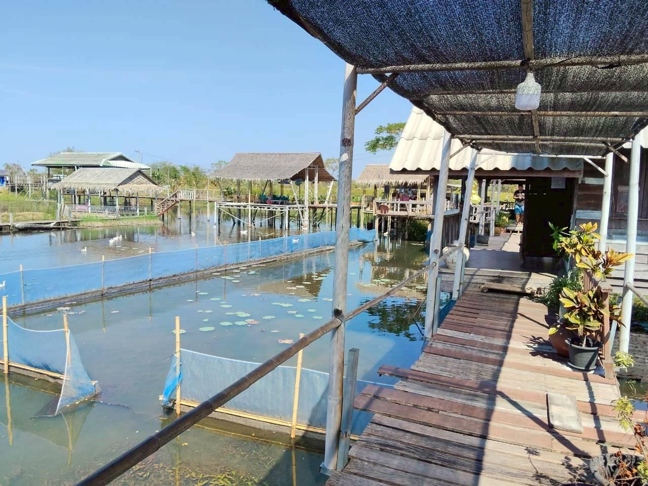 ภาพประกอบที่ 6