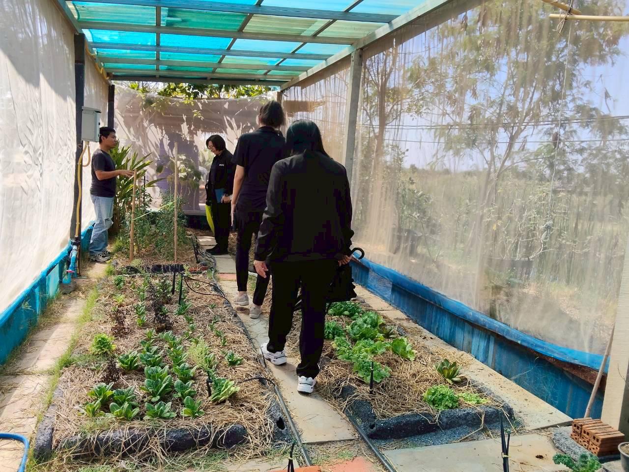 ภาพประกอบที่ 10