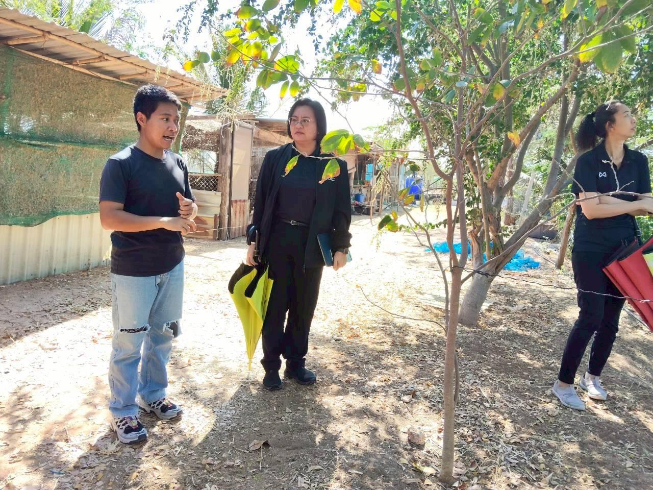 ภาพประกอบที่ 11