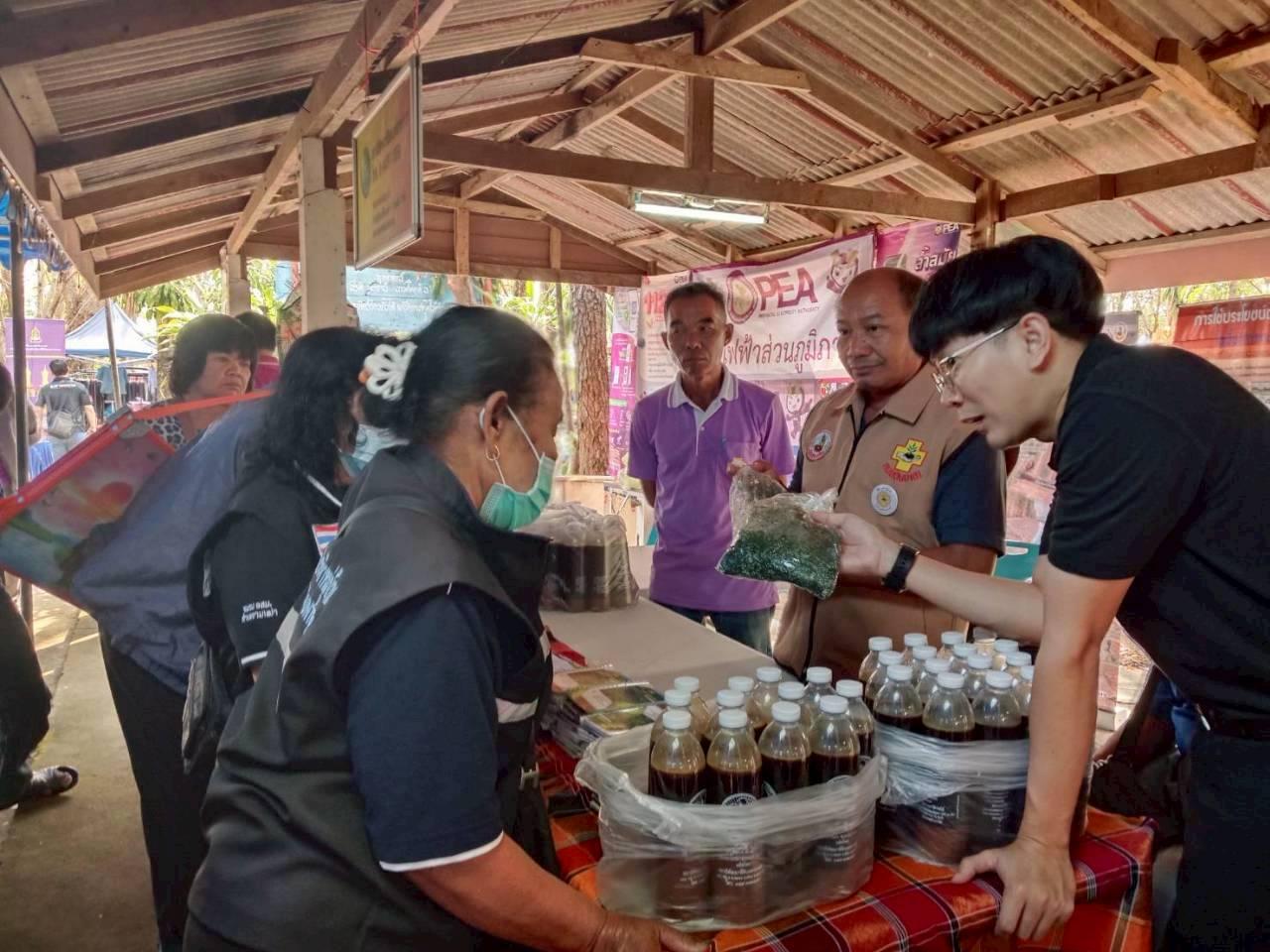 ภาพประกอบที่ 10