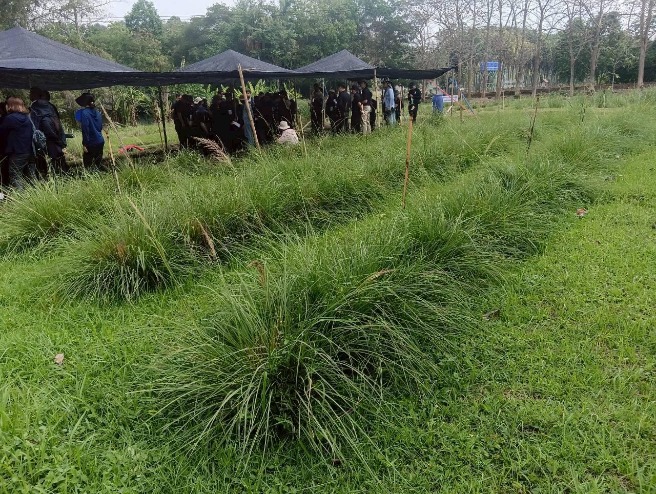 ภาพประกอบที่ 4