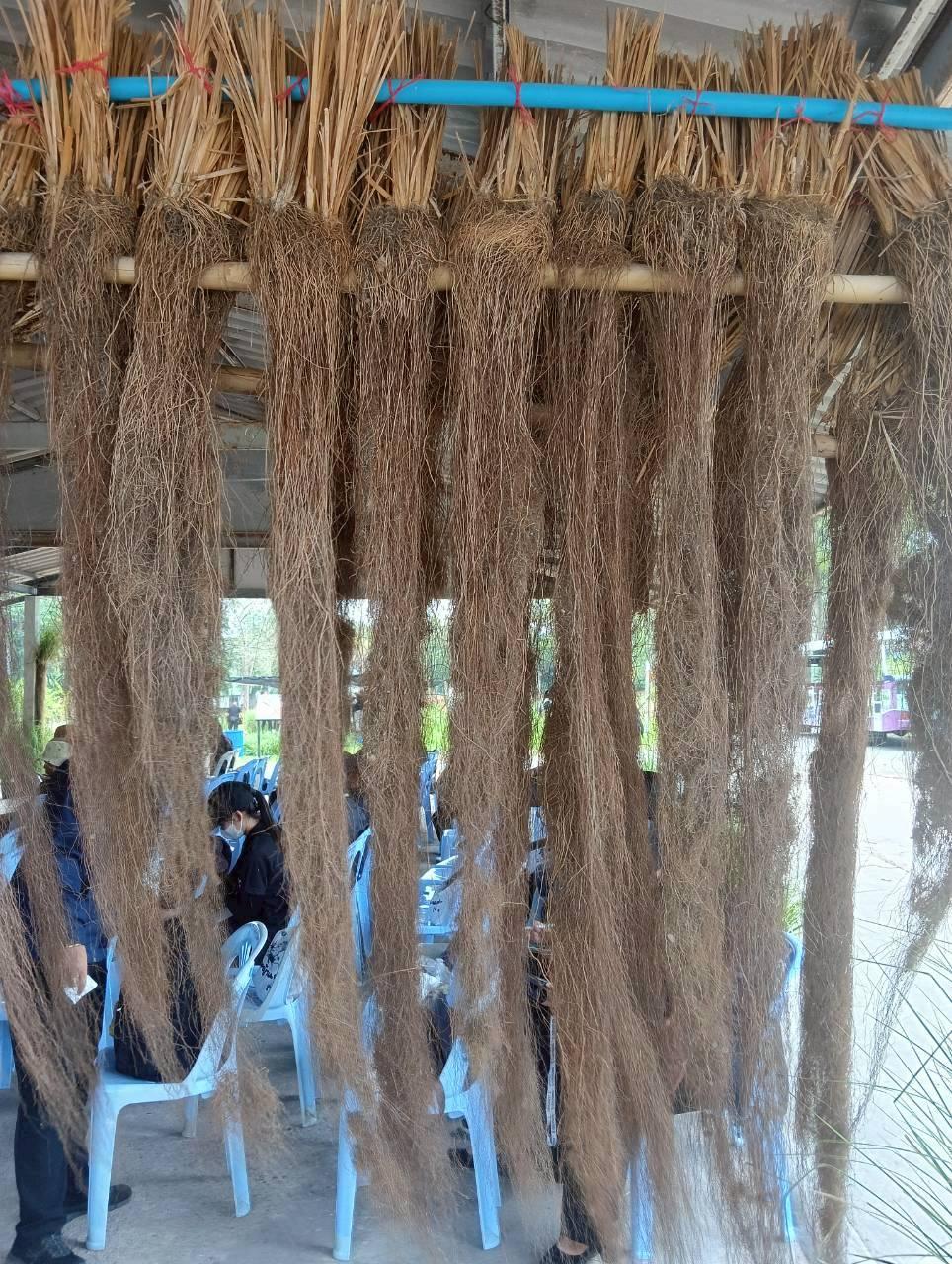 ภาพประกอบที่ 5