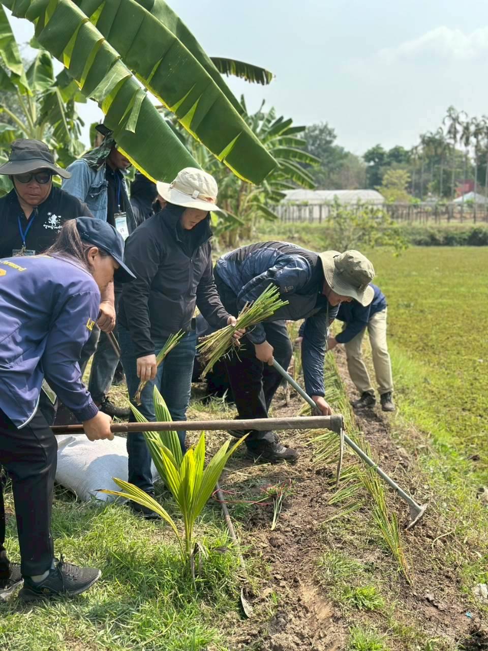 ภาพประกอบที่ 8