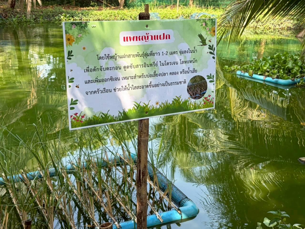 ภาพประกอบที่ 10