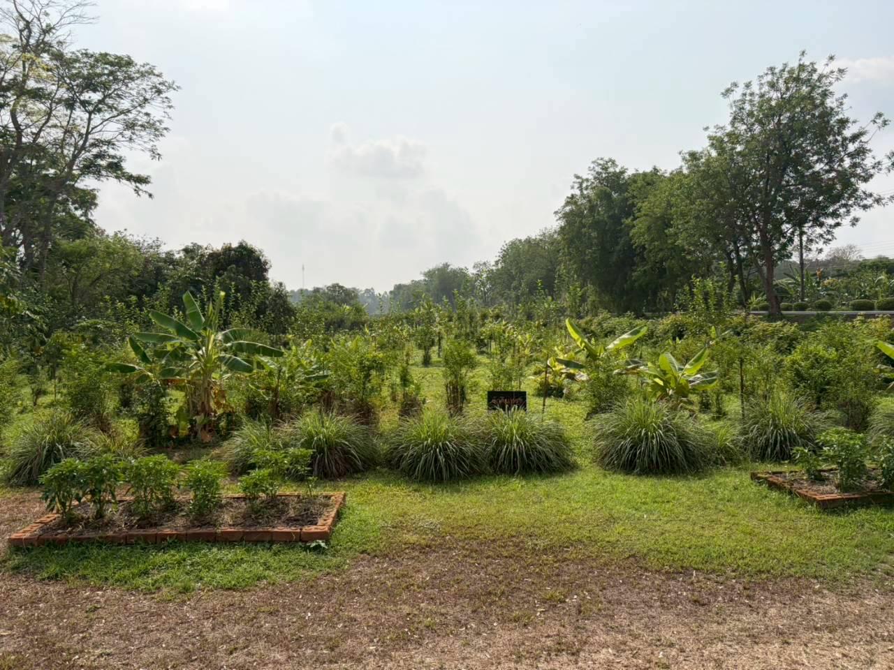 ภาพประกอบที่ 13